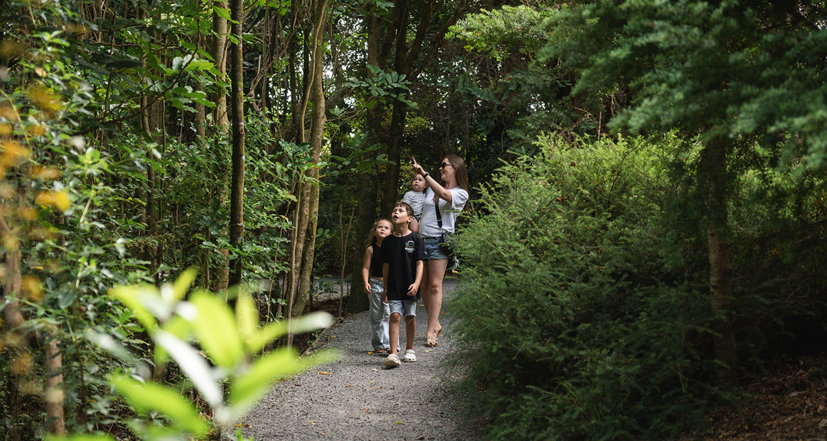 Ngā Manu Nature Reserve