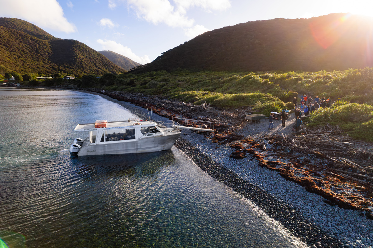 Ferry Arriving Waiorua Bay, Kapiti Island, 2024 Roady