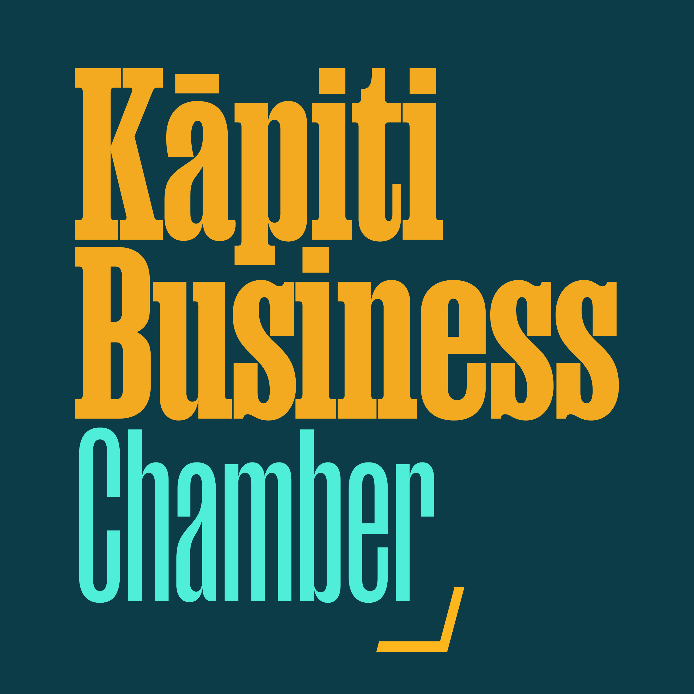 Kapiti Business Chamber 1